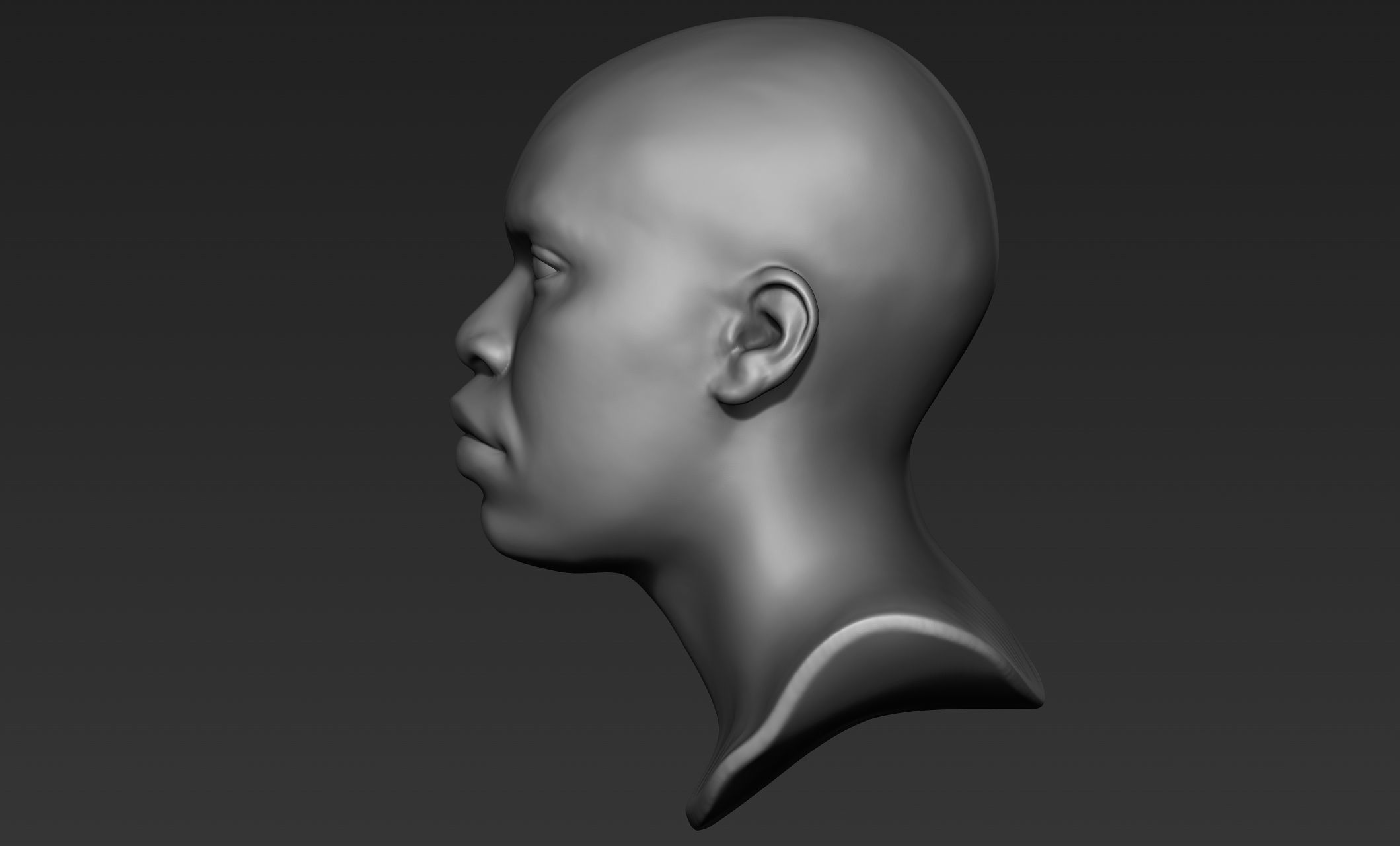 Black Man Head Sculpts 3D model_5