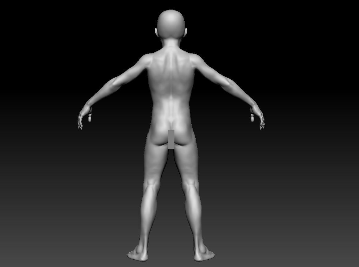 Male body 07 3D model_23