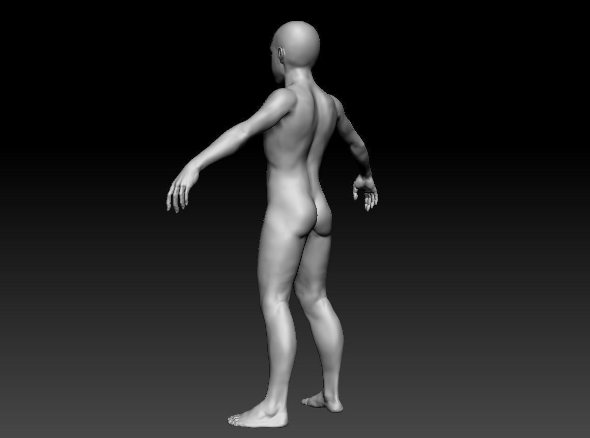 Male body 07 3D model_22