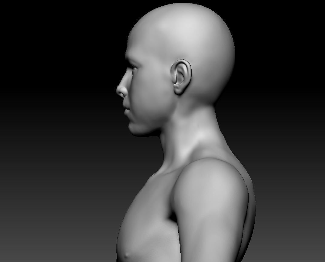 Male body 07 3D model_16