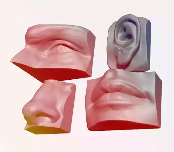 ANATOMY PACK - FACE PARTS 3D print model