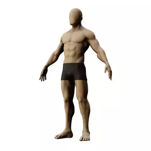 Male Basemesh - Highrez and Decimated