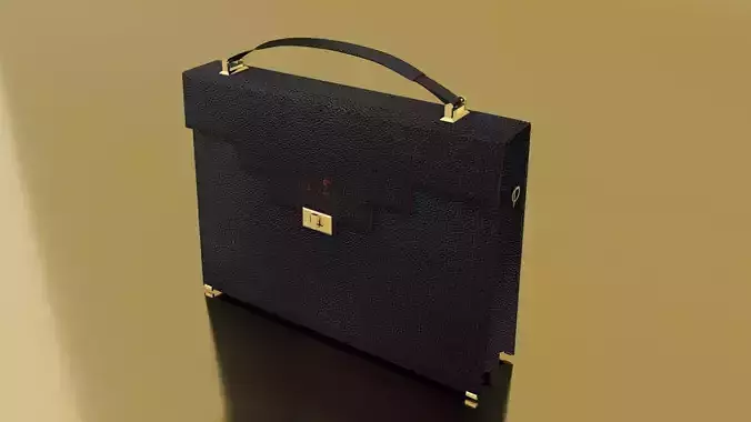 3D Leather bag model