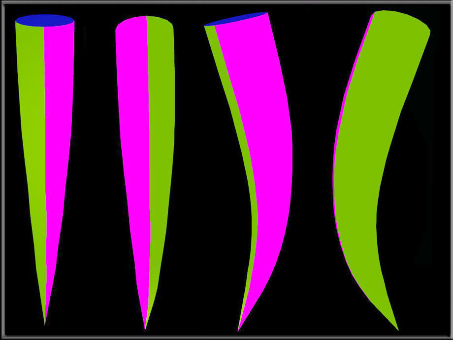 Tusk - 3D mesh two creations Low-poly 3D model_1