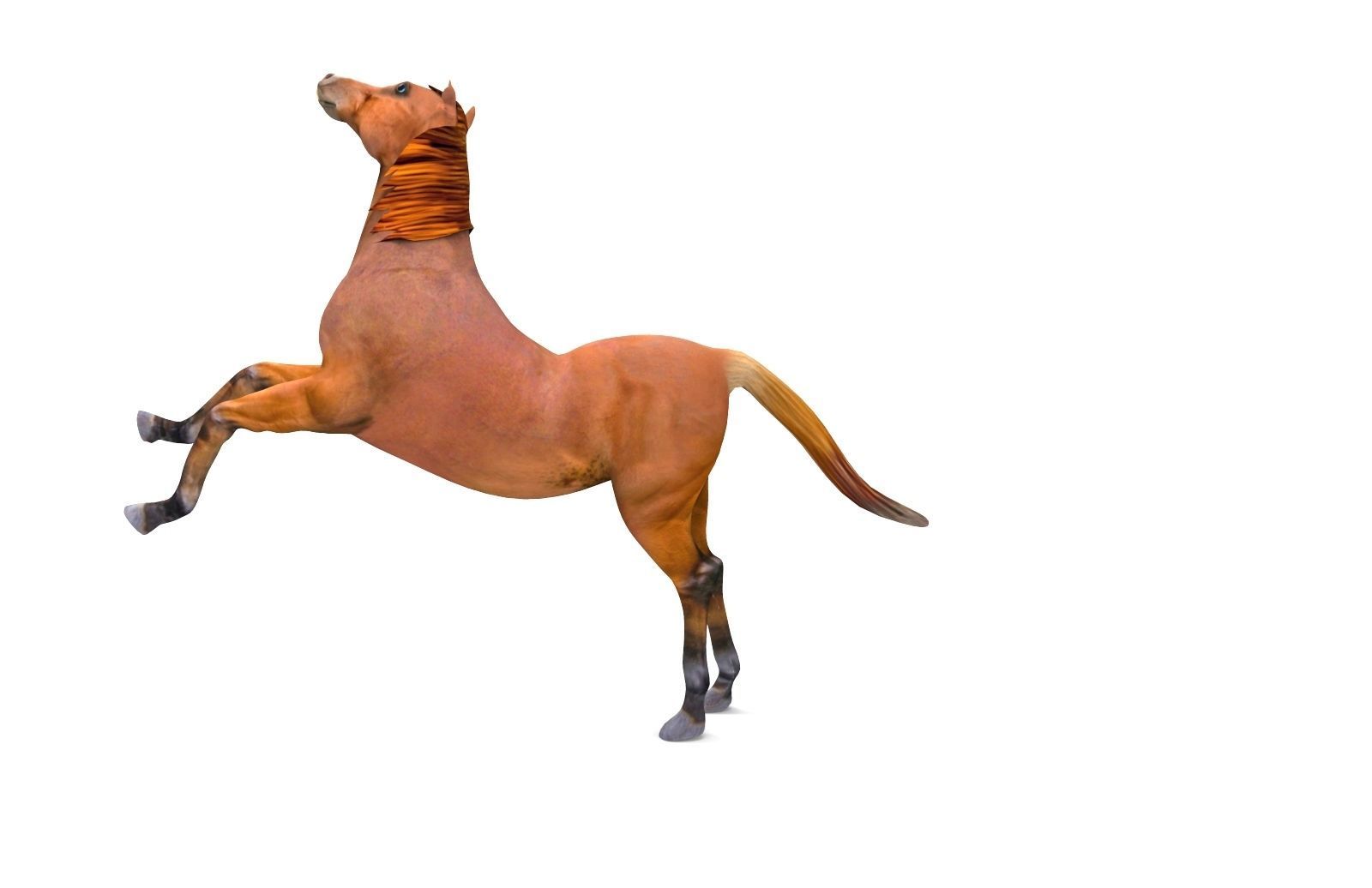 Red Horse Animated Low-poly 3D model_13