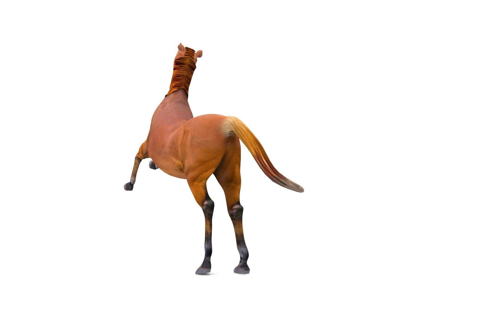Red Horse Animated Low-poly 3D model_15
