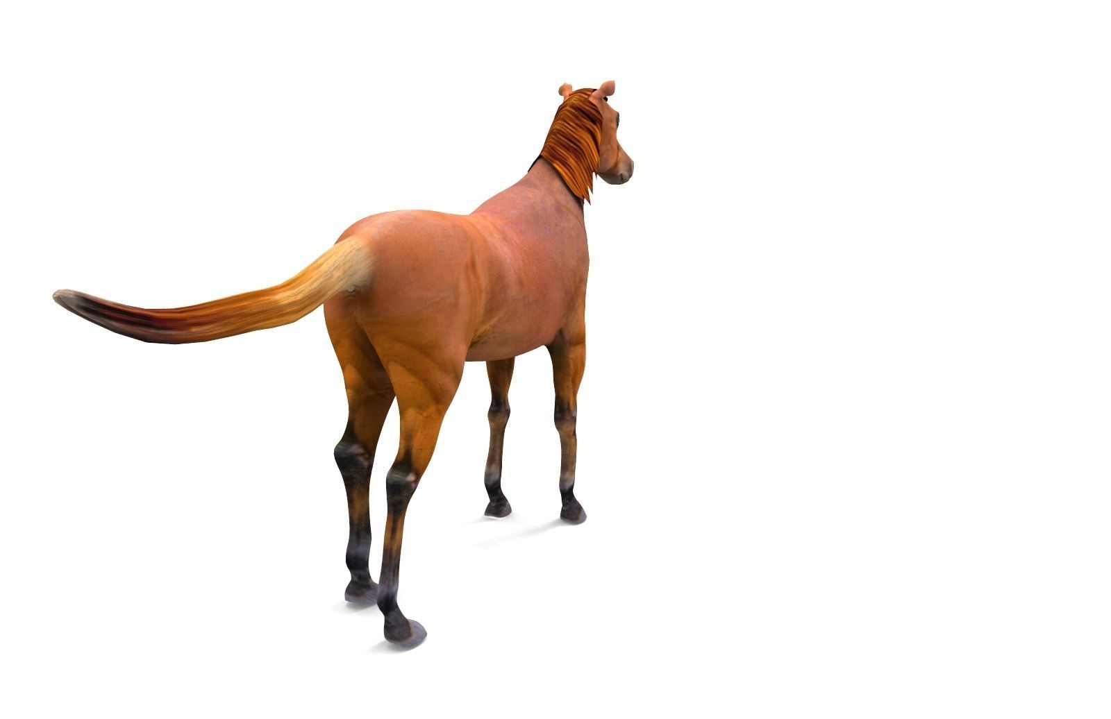 Red Horse Animated Low-poly 3D model_10