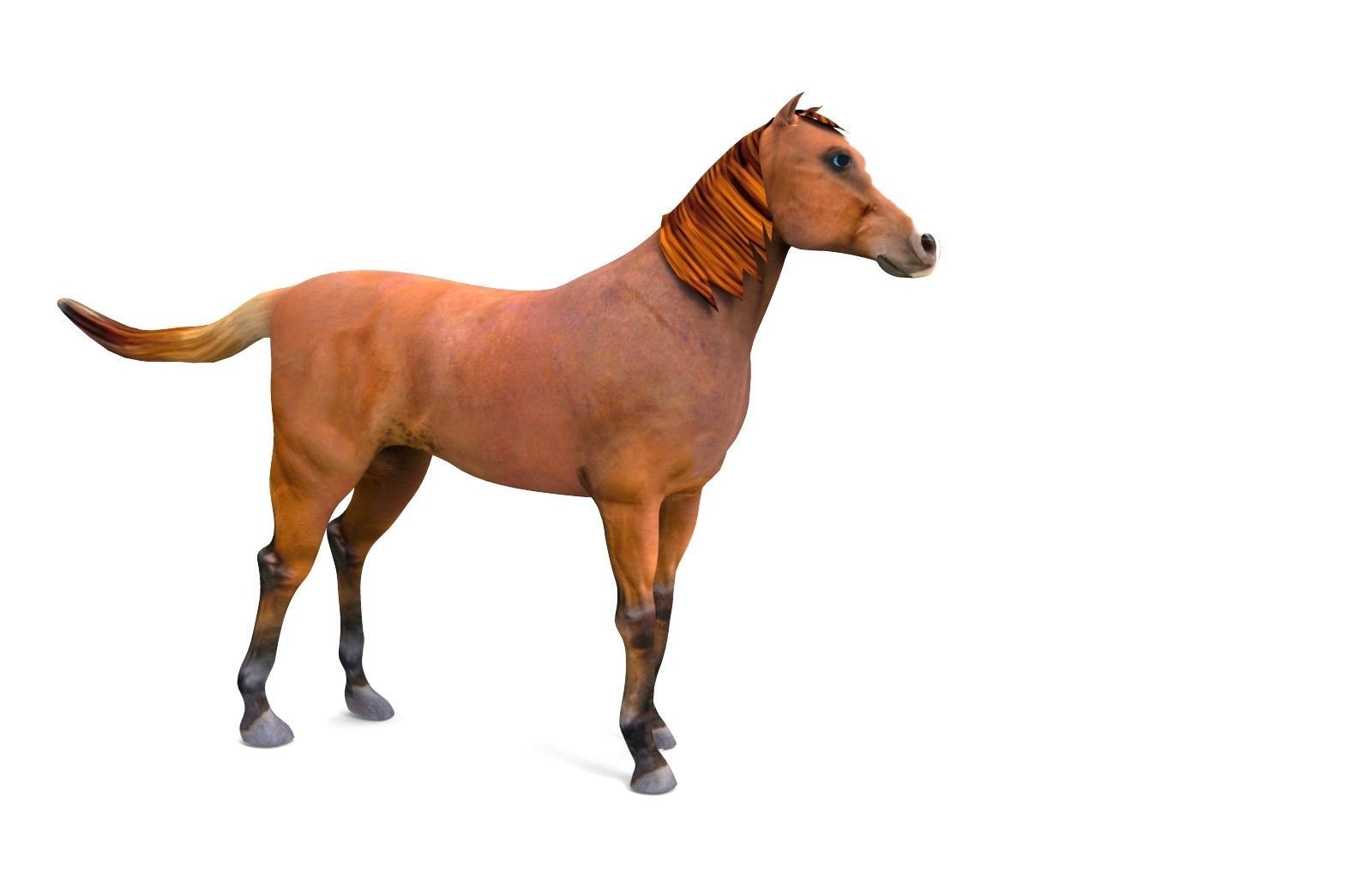 Red Horse Animated Low-poly 3D model_9