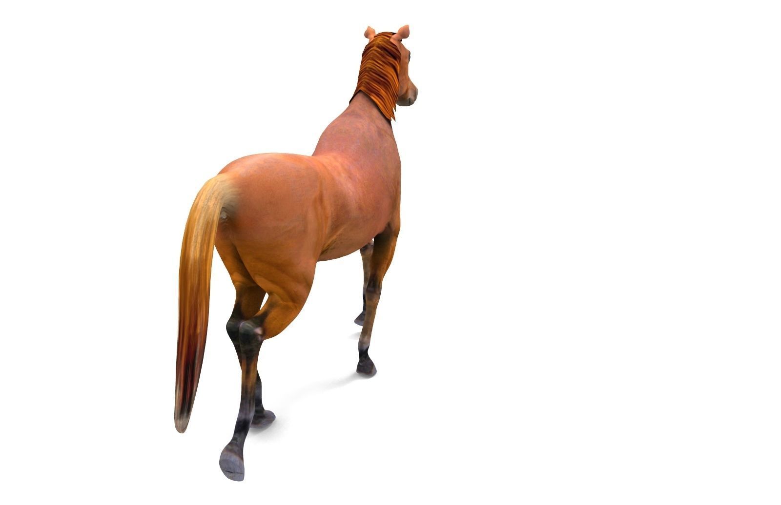 Red Horse Animated Low-poly 3D model_3