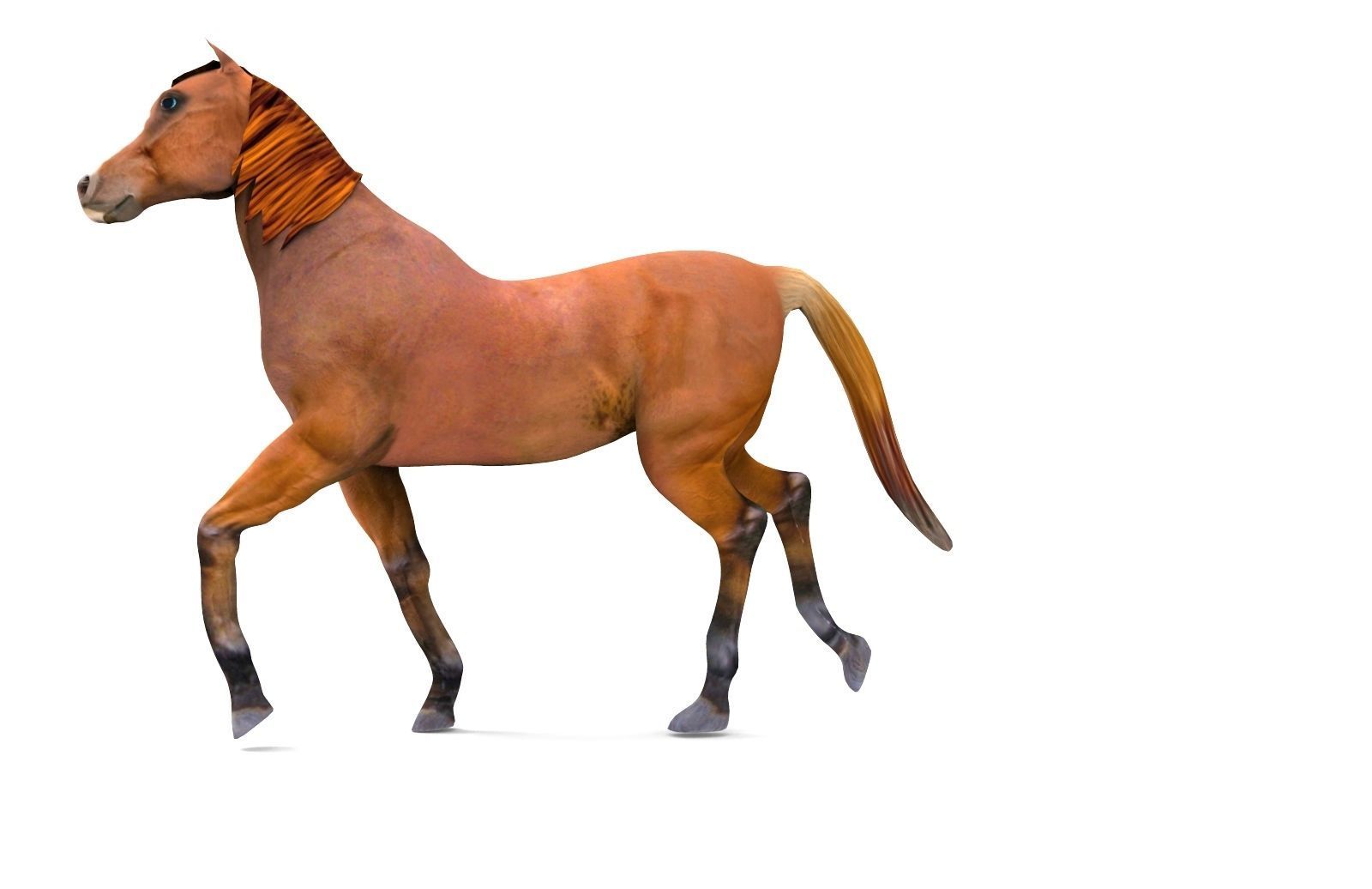 Red Horse Animated Low-poly 3D model_5