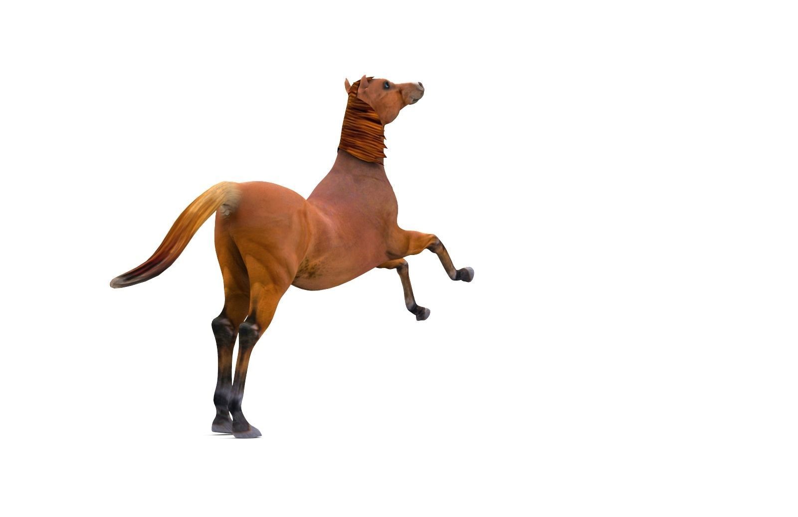 Red Horse Animated Low-poly 3D model_14