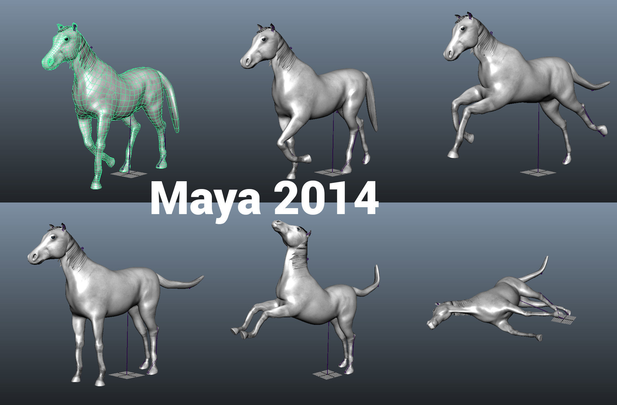Horse Animated Low-poly 3D model_16