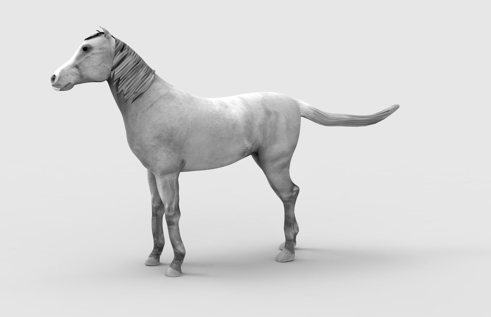 Horse Animated Low-poly 3D model_6