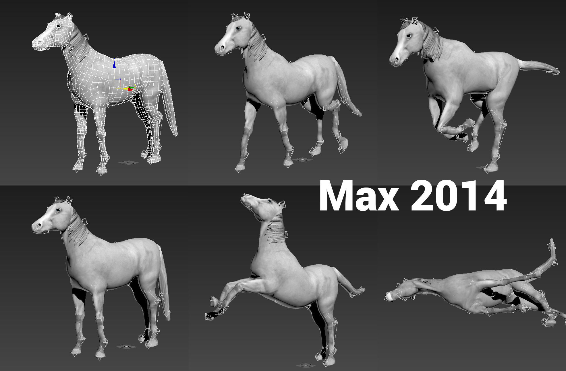 Horse Animated Low-poly 3D model_20
