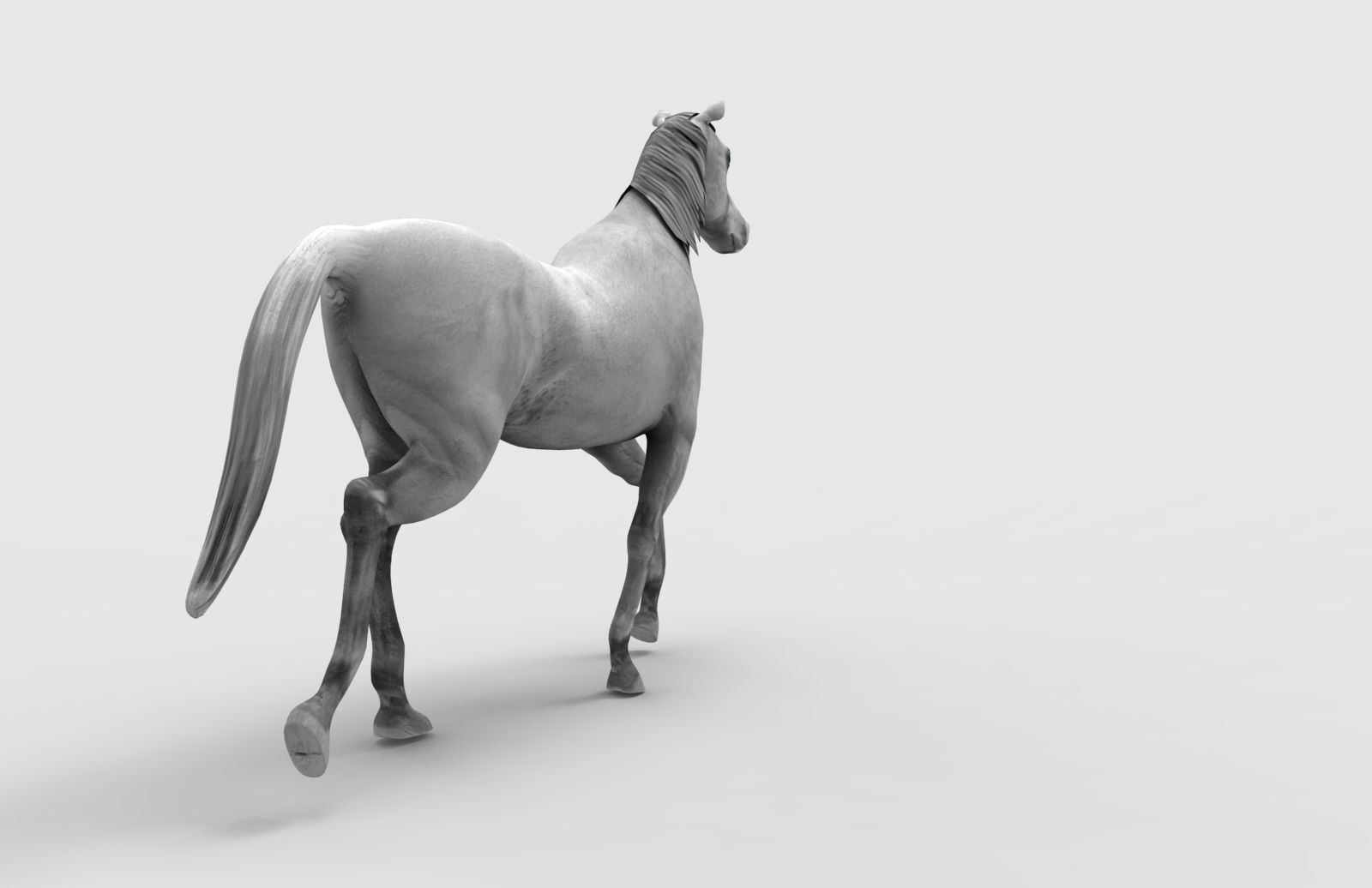 Horse Animated Low-poly 3D model_14