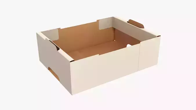 Retail tray cardboard box 05