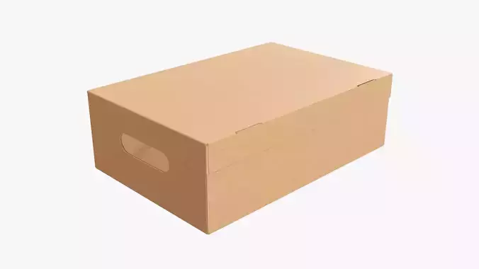 Closed shoes cardboard box  3D model