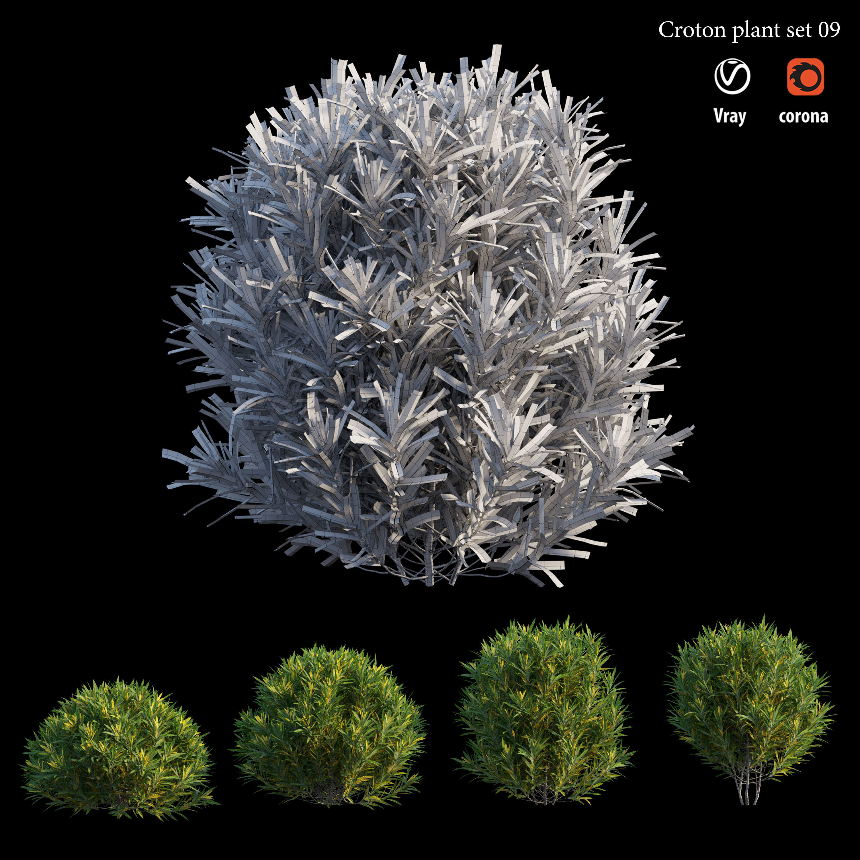 Croton plant set 09 3D model_5