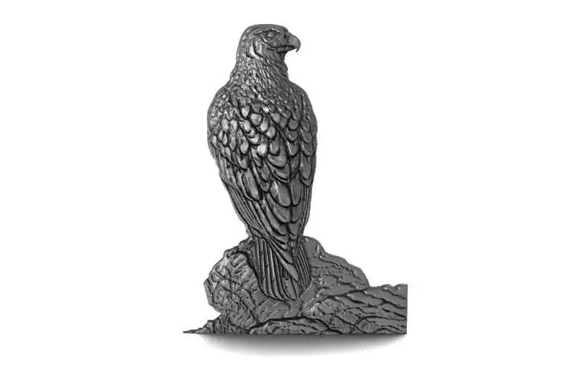 Falcon bas-relief CNC 3D print model_0
