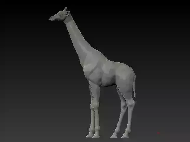 Jiraffe giraffe