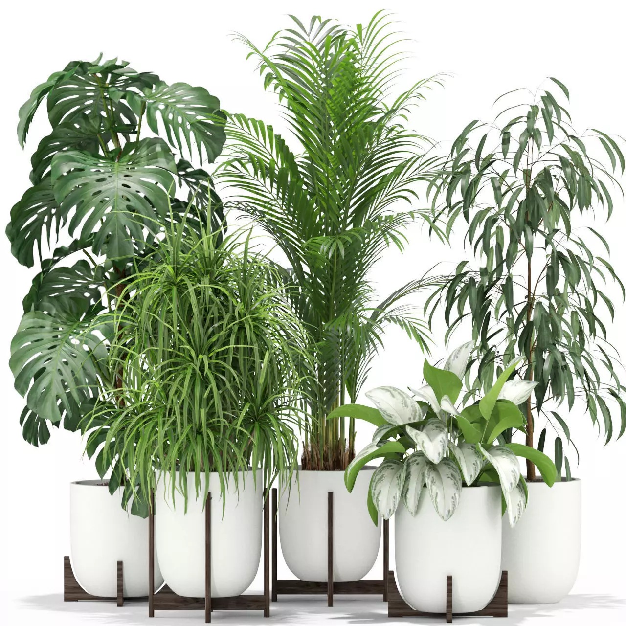 Plants collection 354 3D model