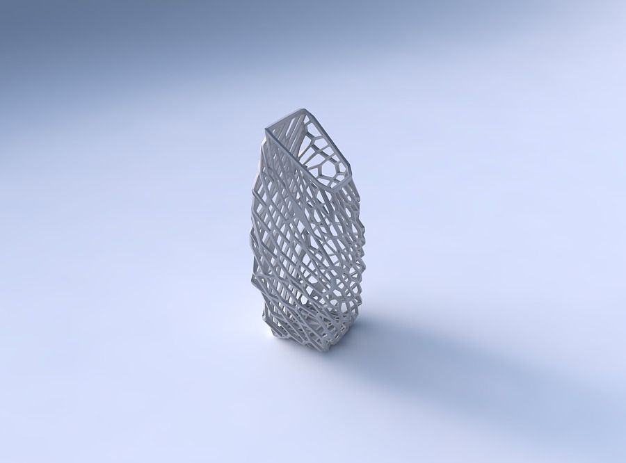 Vase bent rectangle with faceted and twisted organic lattice 2 3D print model_3