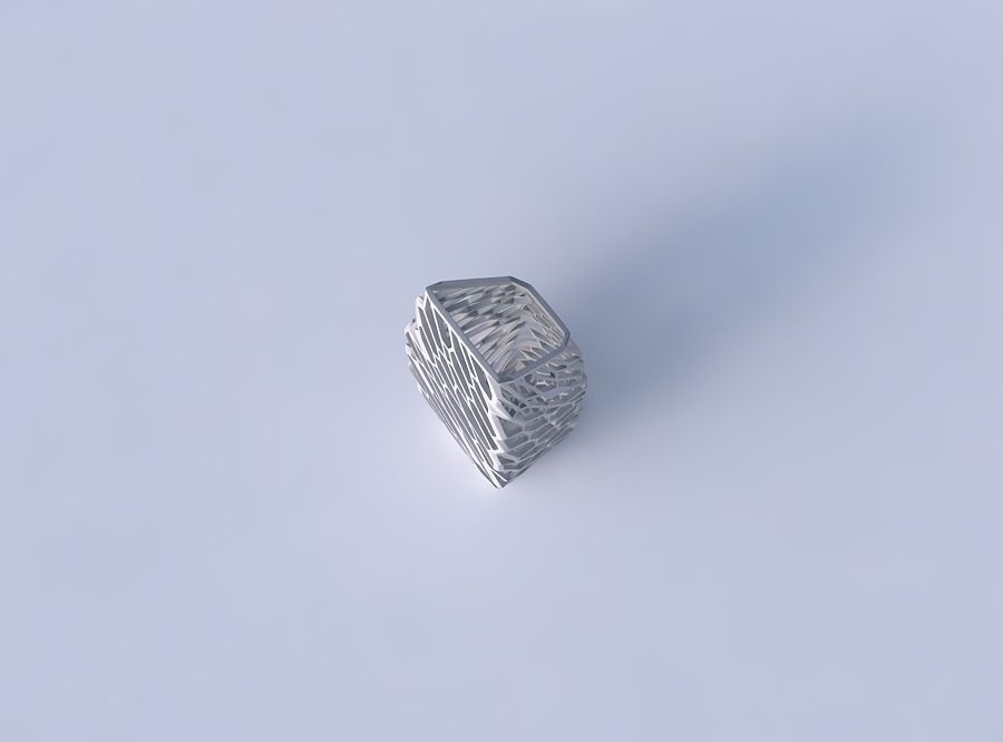 Vase bent rectangle with faceted and twisted organic lattice 2 3D print model_2