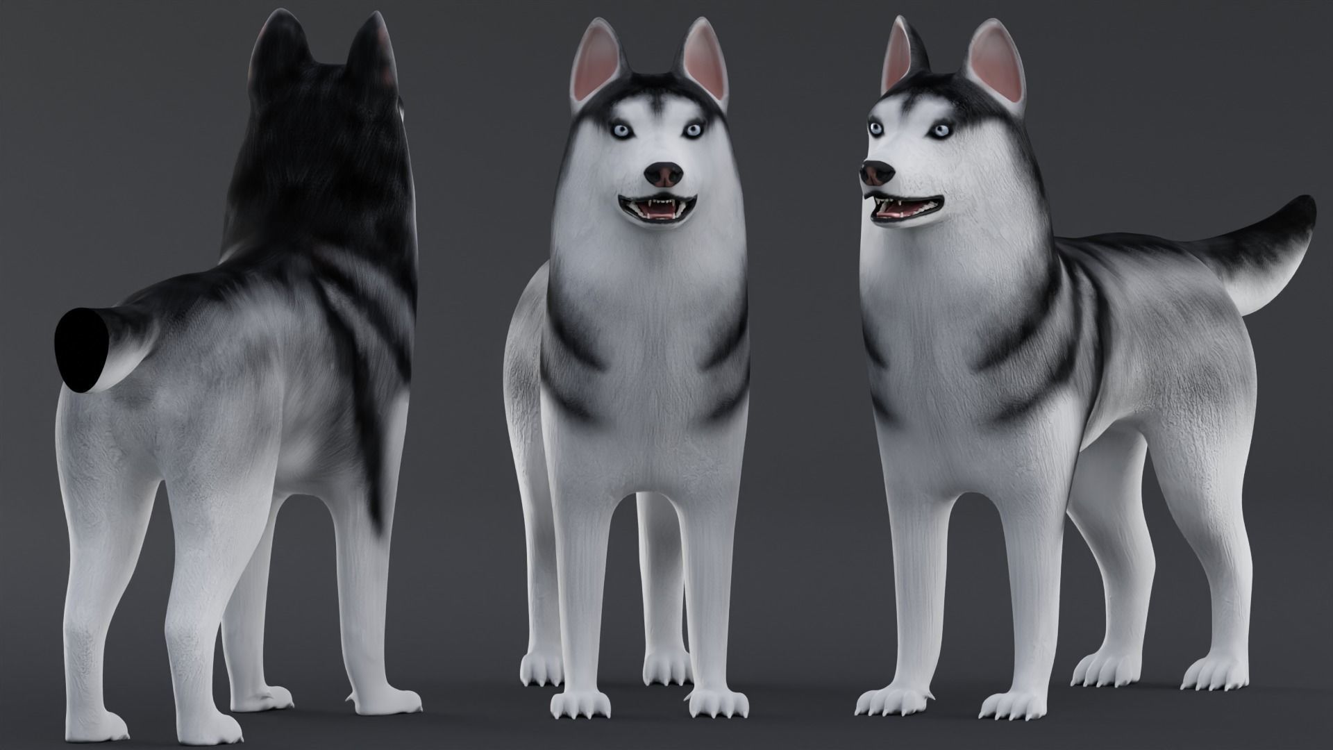 Dog Siberian Husky Low Poly Model Game AR VR Low-poly 3D model_4