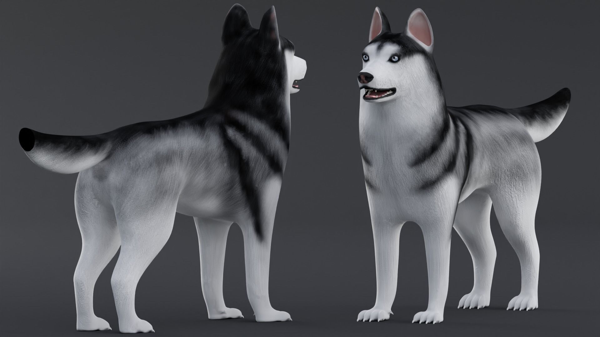 Dog Siberian Husky Low Poly Model Game AR VR Low-poly 3D model_3