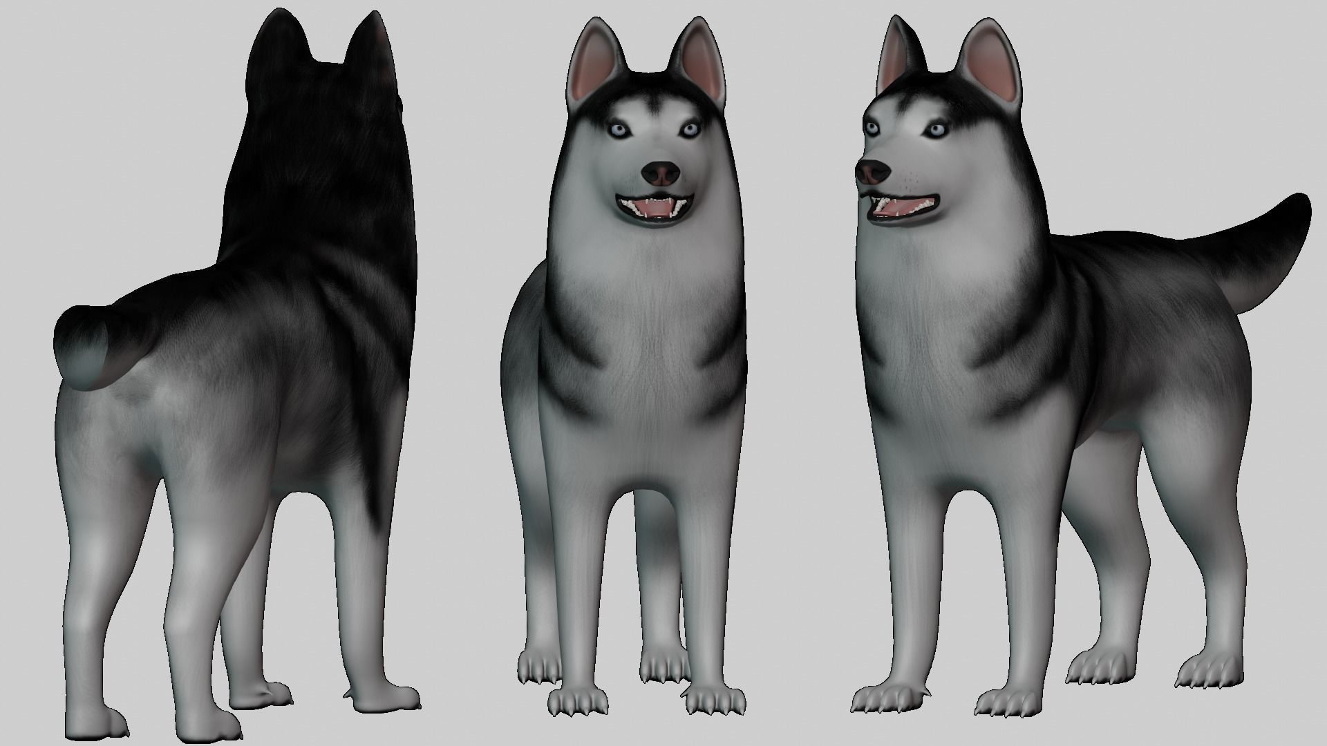 Dog Siberian Husky Low Poly Model Game AR VR Low-poly 3D model_5