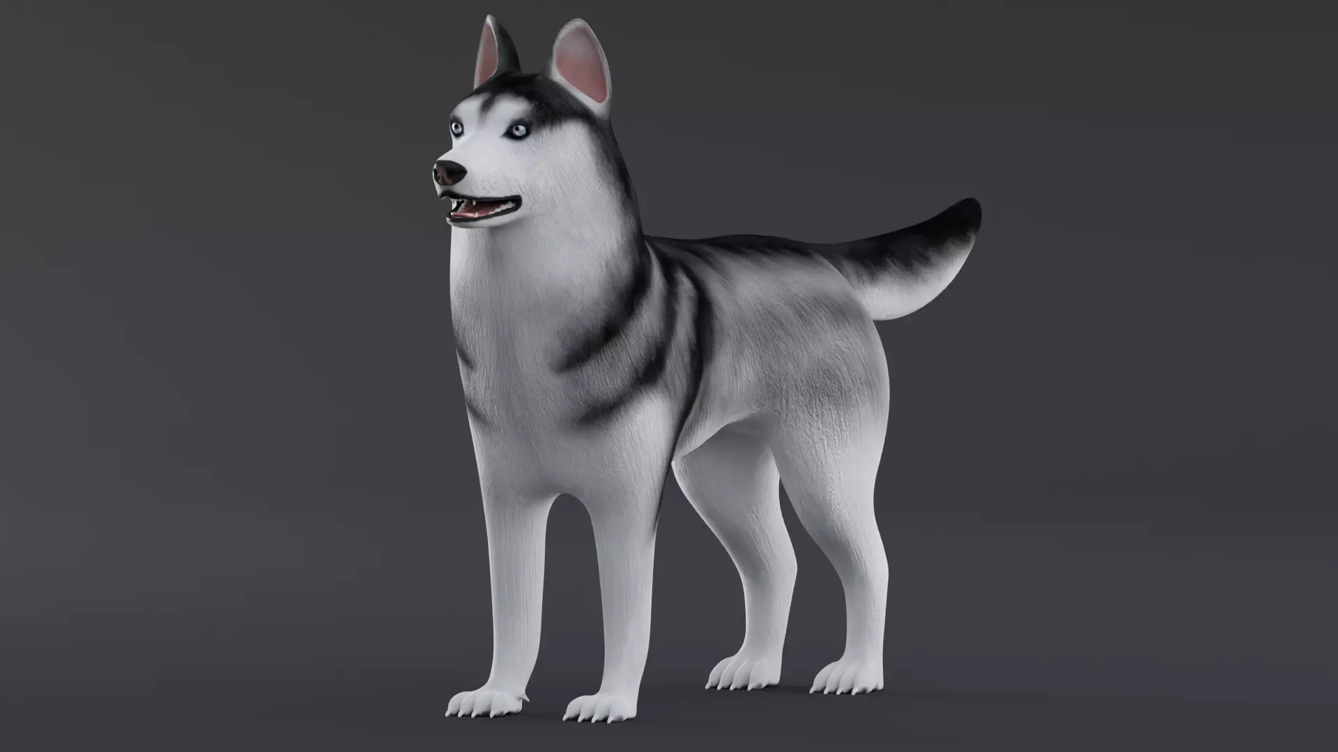 Dog Siberian Husky Low Poly Model Game AR VR Low-poly 3D model_0