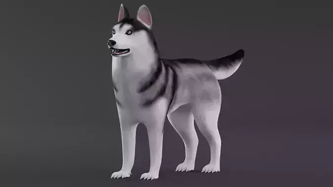 Dog Siberian Husky Low Poly Model Game AR VR