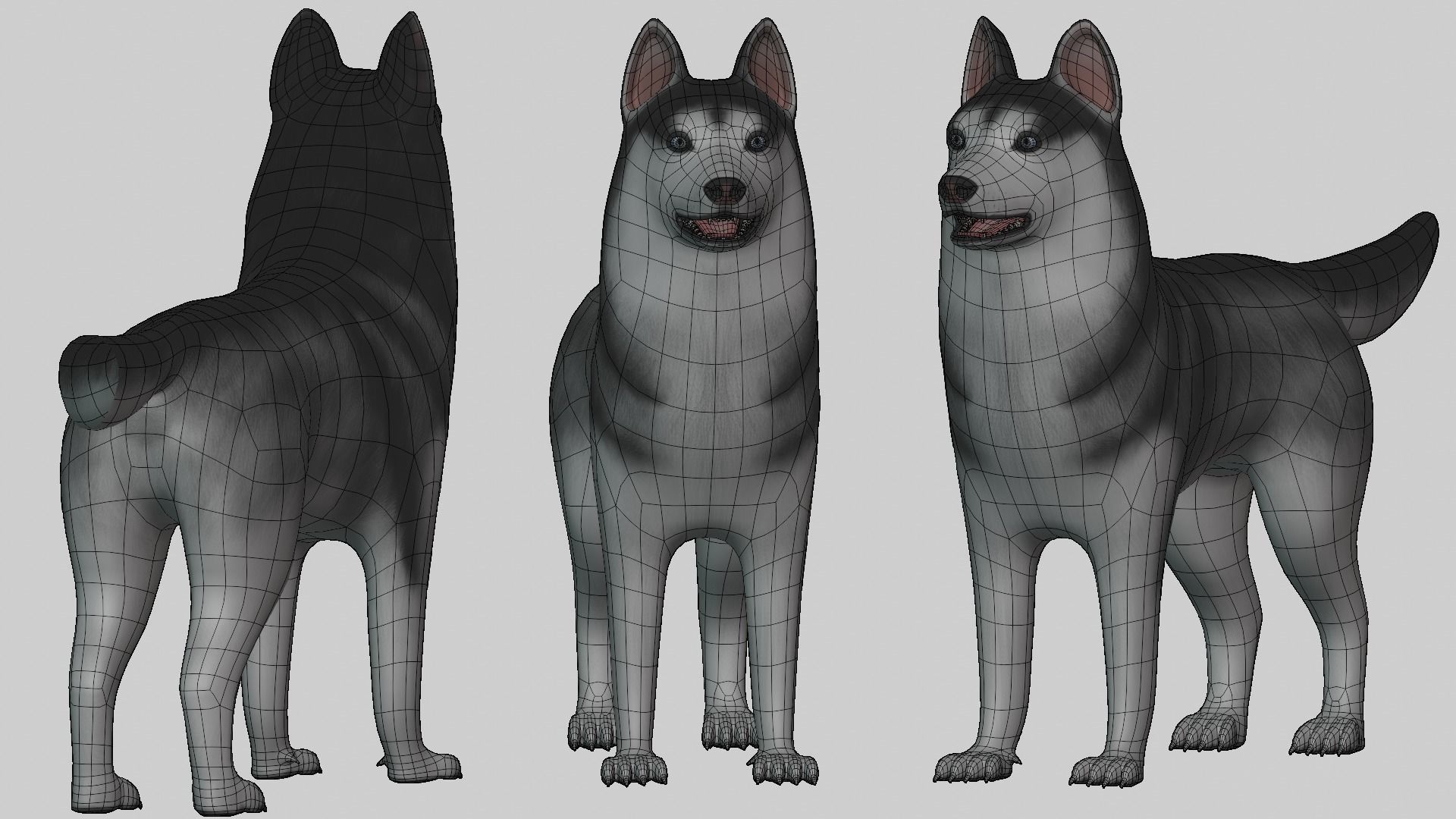 Dog Siberian Husky Low Poly Model Game AR VR Low-poly 3D model_6