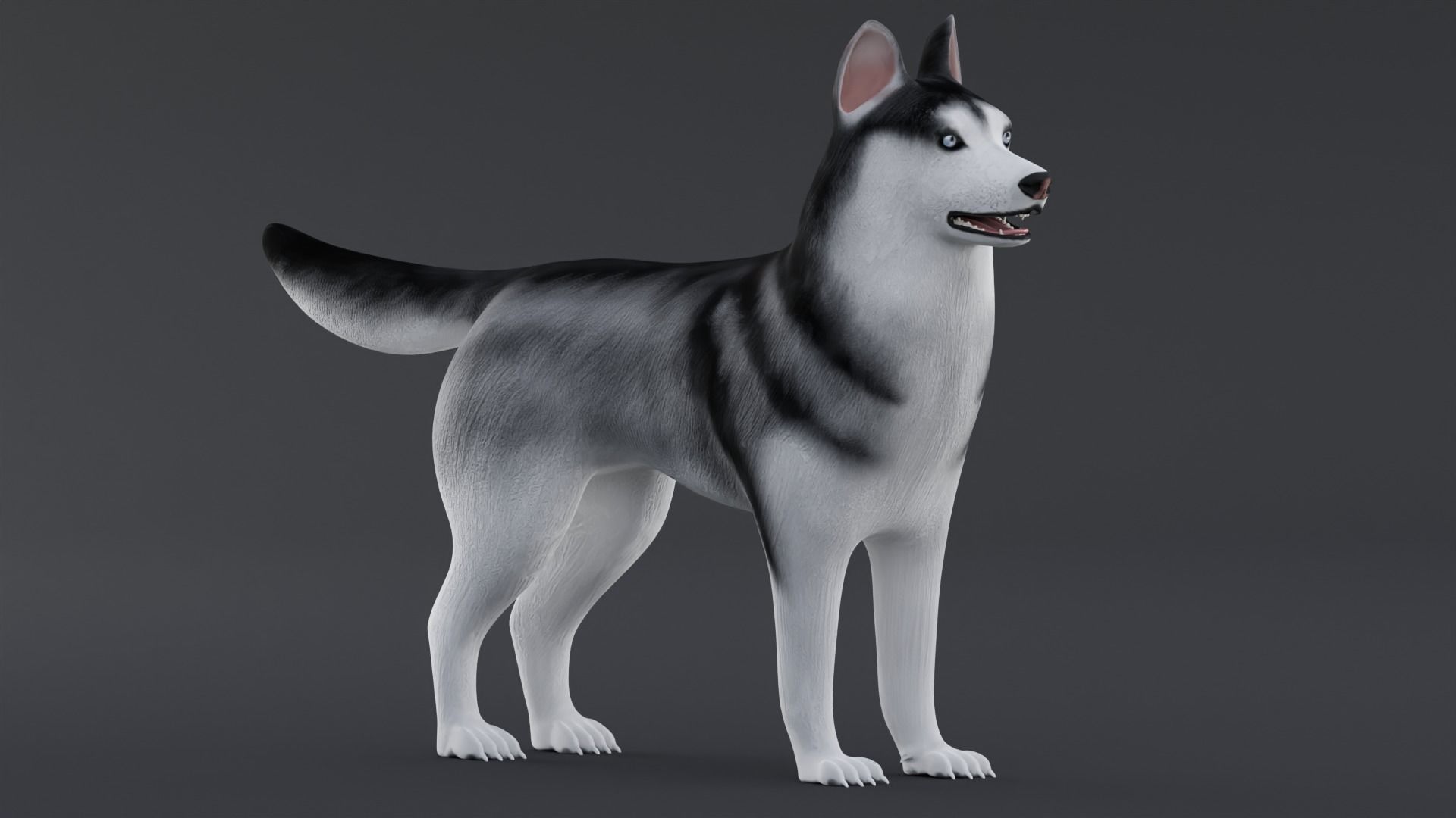 Dog Siberian Husky Low Poly Model Game AR VR Low-poly 3D model_1