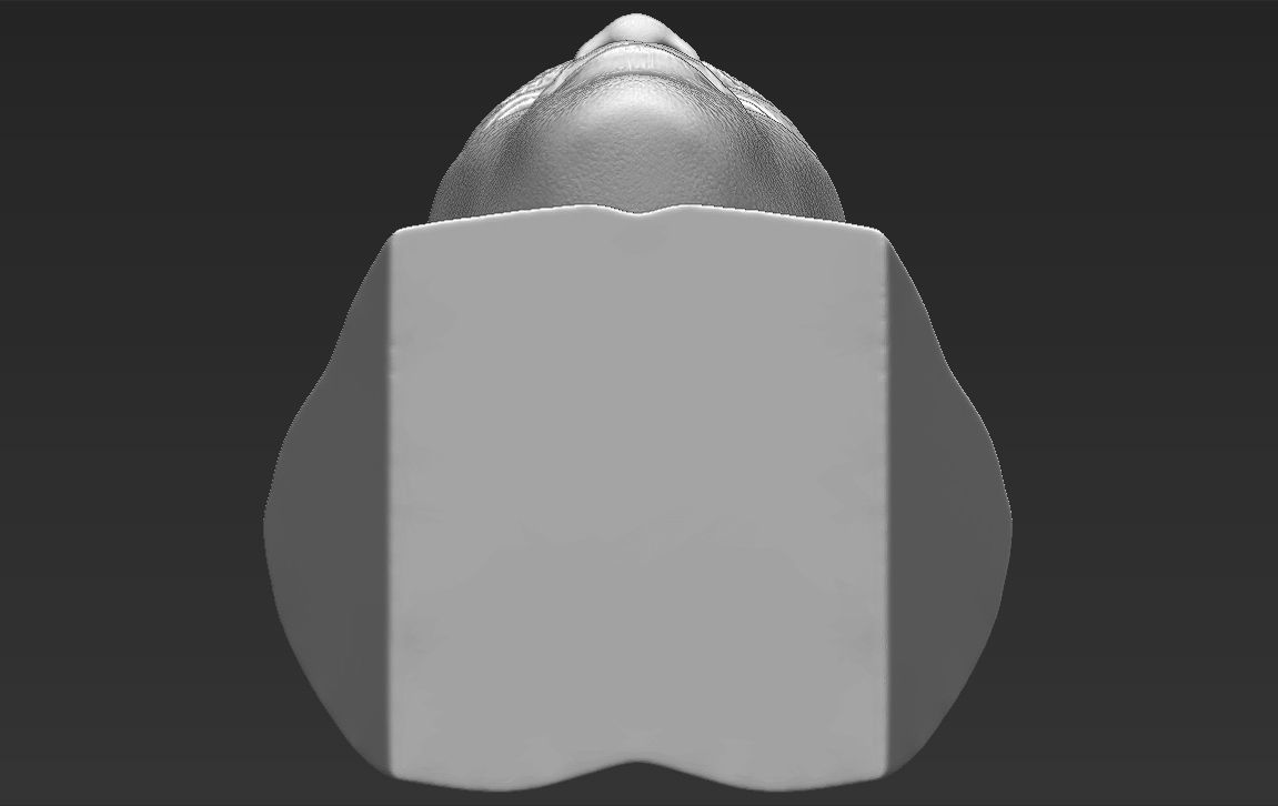 Jon Jones bust 3D printing ready stl obj formats 3D print model_28