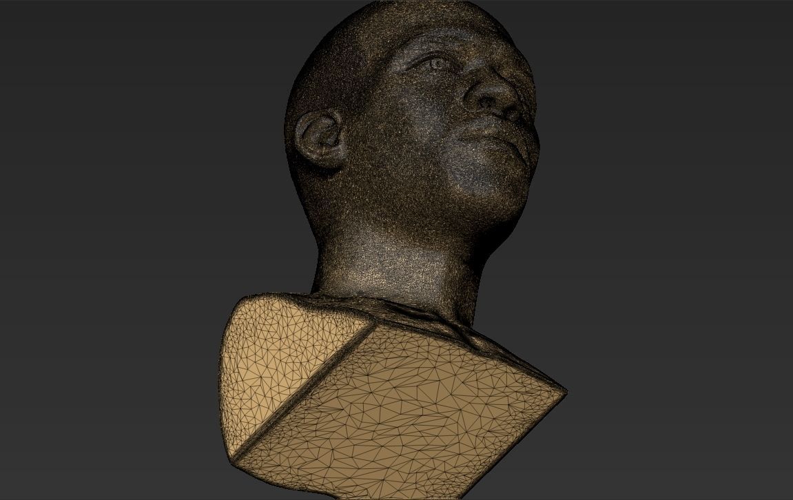 Jon Jones bust 3D printing ready stl obj formats 3D print model_33