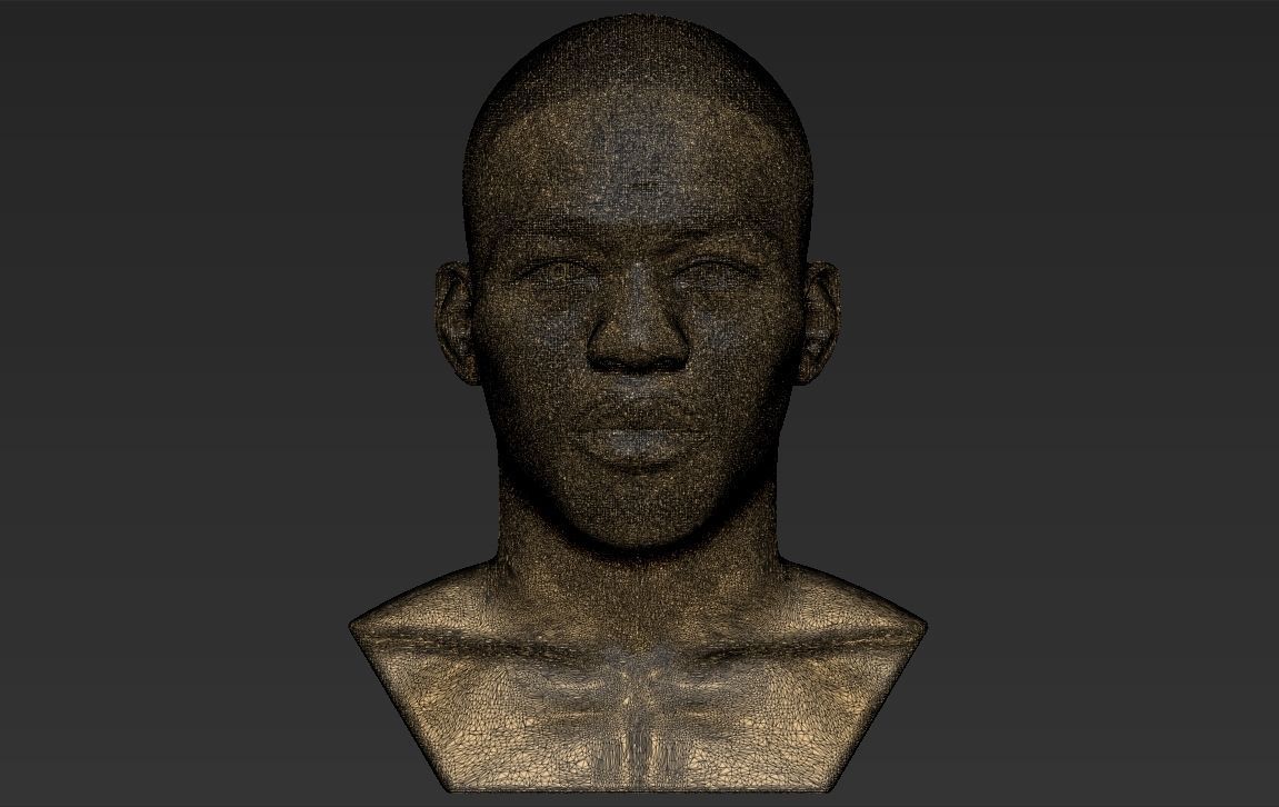 Jon Jones bust 3D printing ready stl obj formats 3D print model_29