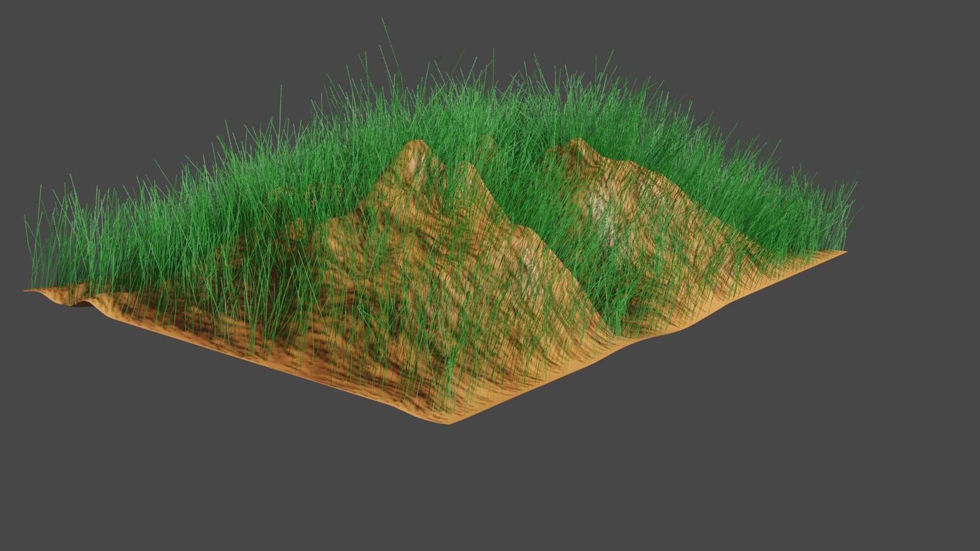 GRASS LANDSCAPE WITH WIND FLOW ANIMATION 3D model_5