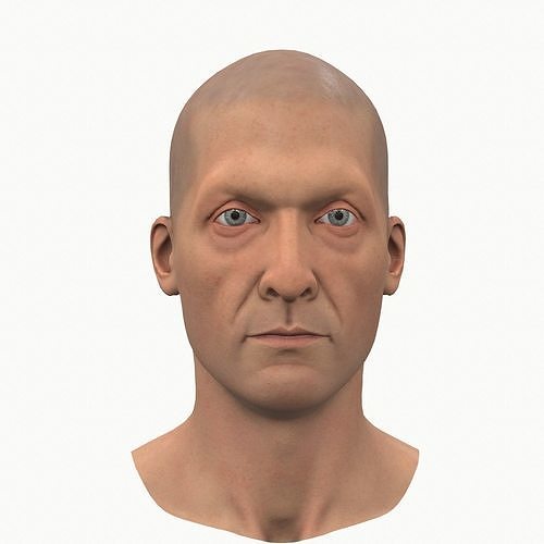 Male head Low-poly 3D model