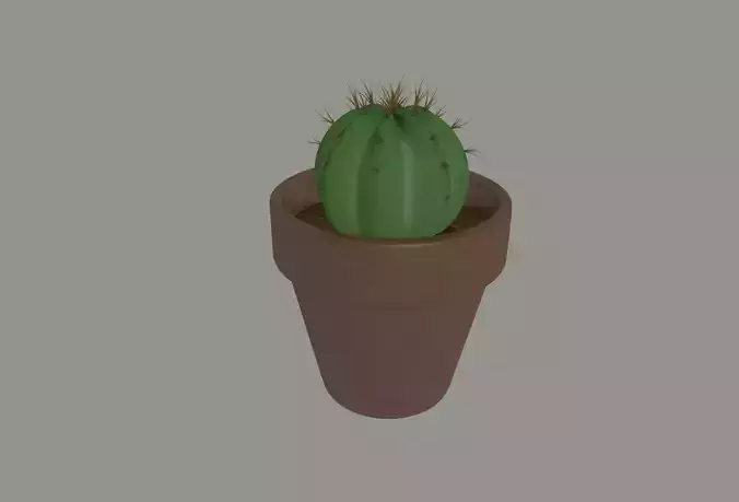 Cactus In A Flower Pot 3D model