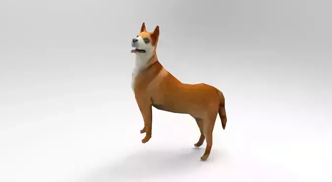 Dog Rigged and Animated  Low-poly 3D model