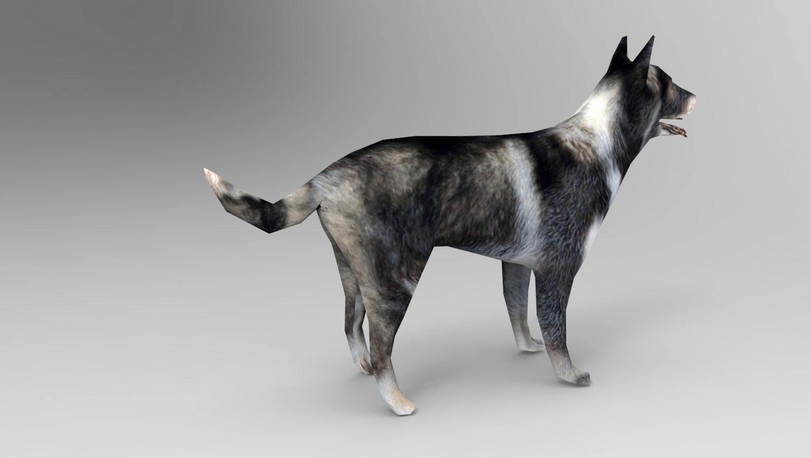 Dog Rigged and Animated Low-poly 3D model_4