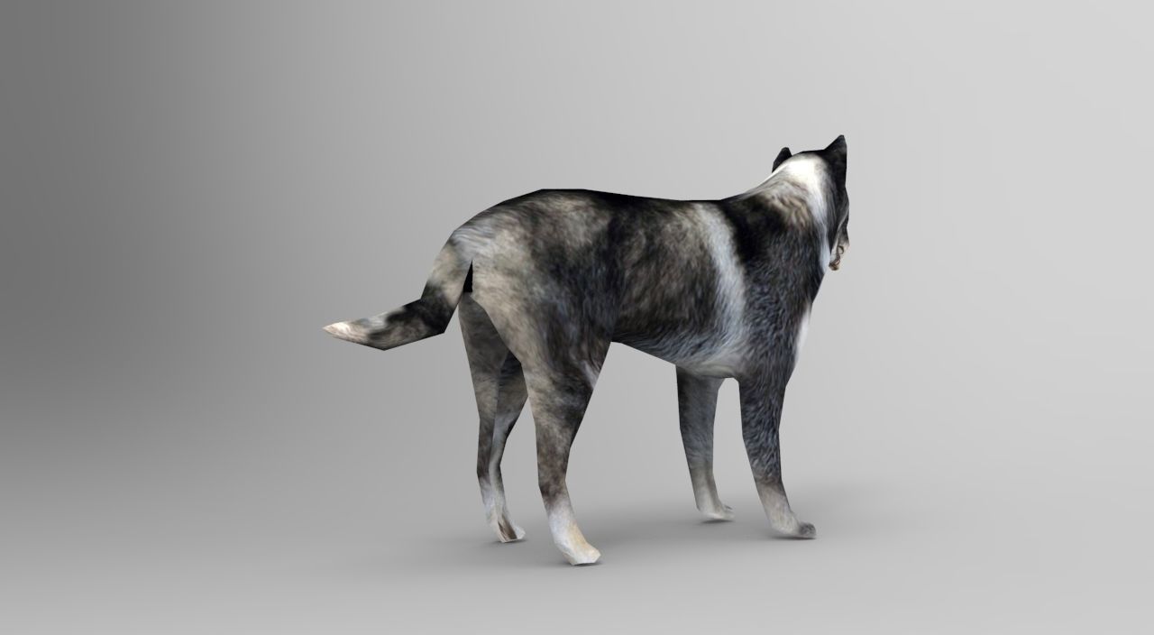Dog Rigged and Animated Low-poly 3D model_11