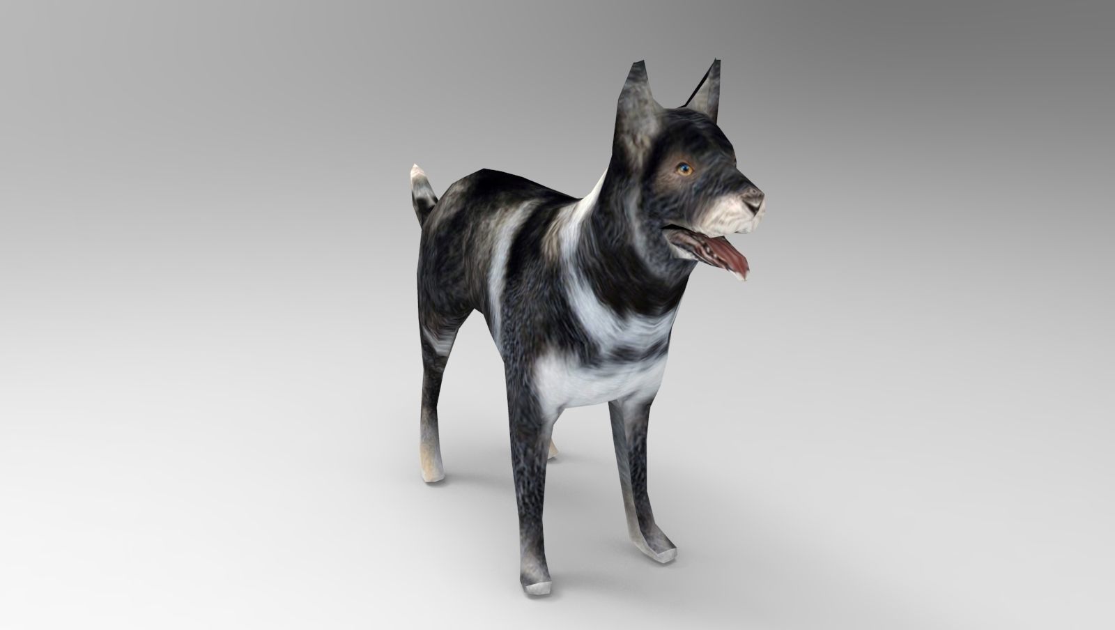 Dog Rigged and Animated Low-poly 3D model_6