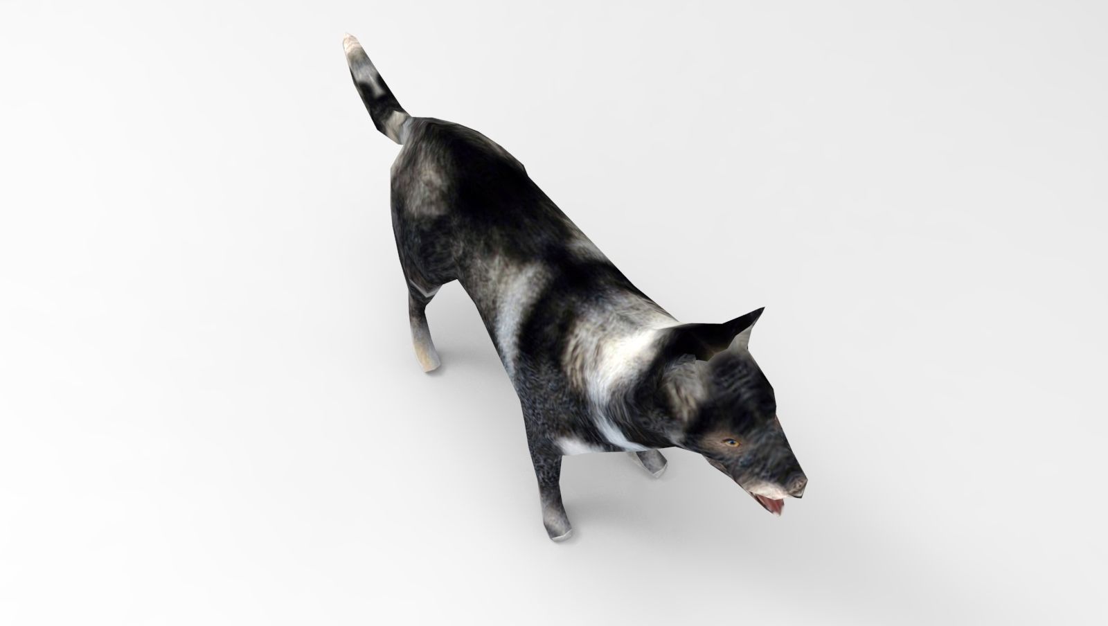 Dog Rigged and Animated Low-poly 3D model_7