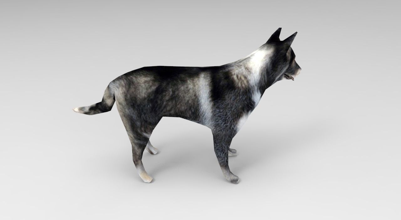Dog Rigged and Animated Low-poly 3D model_14