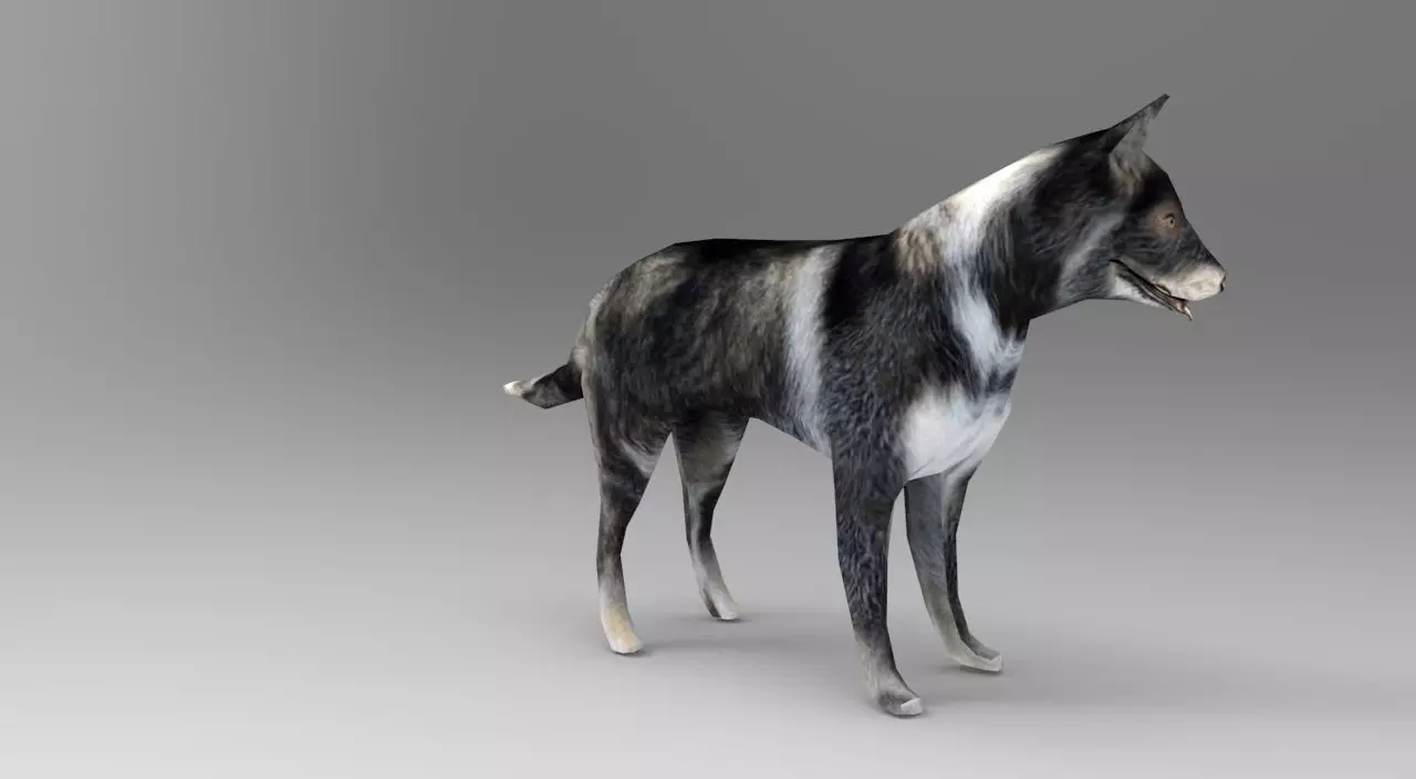 Dog Rigged and Animated Low-poly 3D model_0