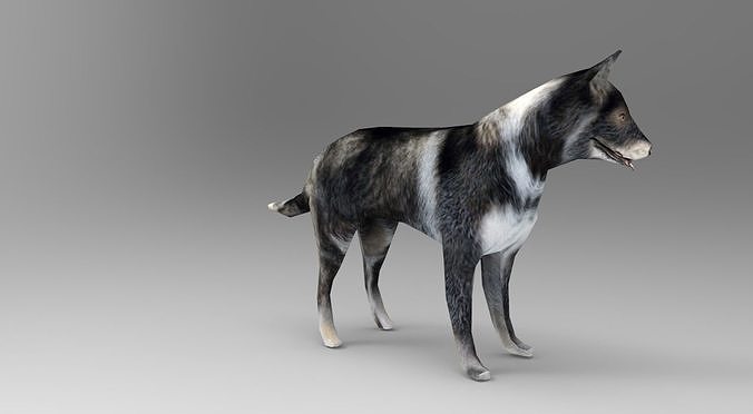 Dog Rigged and Animated  Low-poly 3D model