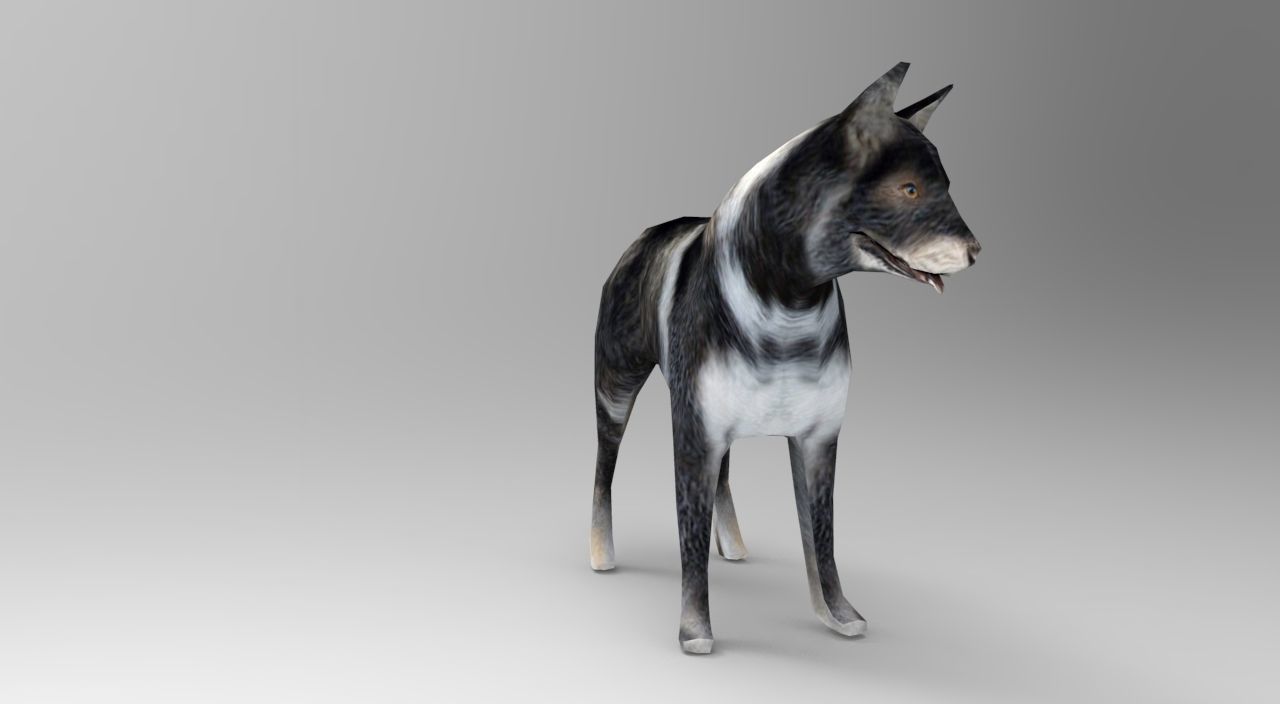 Dog Rigged and Animated Low-poly 3D model_12