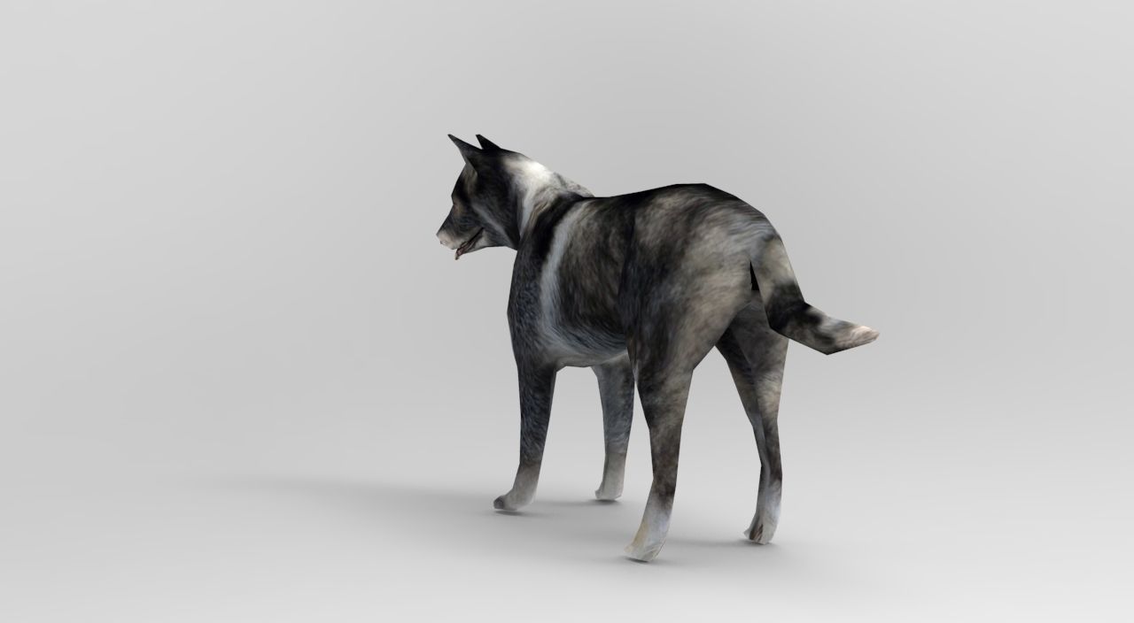 Dog Rigged and Animated Low-poly 3D model_9